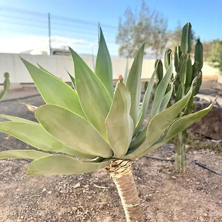 Sun Ventura * コスタ・デ・アンティグア